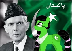 Size: 720x513 | Tagged: safe, artist:lekadema, derpibooru import, edit, ponified, pony, flag, image, jpeg, muhammad ali jinnah, nation ponies, pakistan, urdu