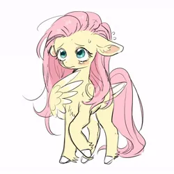 Size: 640x640 | Tagged: safe, artist:racoonman, derpibooru import, fluttershy, pegasus, blushing, chest fluff, colored wings, colored wingtips, ear fluff, floppy ears, image, jpeg, nervous, shy, simple background, sketch, solo, teary eyes, white background, wings