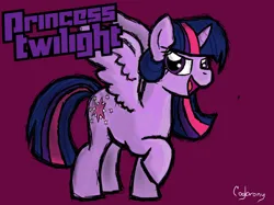 Size: 1024x765 | Tagged: safe, artist:thebrokencog, derpibooru import, twilight sparkle, twilight sparkle (alicorn), alicorn, image, jpeg, signature, simple background