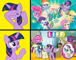 Size: 1689x1352 | Tagged: safe, applejack, derpy hooves, filthy rich, fluttershy, gummy, pinkie pie, rainbow dash, rarity, spike, twilight sparkle, vinyl scratch, my little pony: pony life, board game, hotline bling, image, life, mane six, meme, png