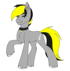 Size: 1600x1620 | Tagged: safe, artist:enderbee, derpibooru import, oc, oc:lightpeace, unofficial characters only, earth pony, pony, chest fluff, collar, colored, commission, ear fluff, flat colors, full body, hooves, image, multicolored hair, png, raised hoof, simple background, sketch, white background