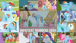 Size: 1280x720 | Tagged: safe, derpibooru import, edit, edited screencap, editor:quoterific, screencap, applejack, fluttershy, pinkie pie, rainbow dash, twilight sparkle, twilight sparkle (alicorn), alicorn, earth pony, pegasus, pony, unicorn, 2 4 6 greaaat, a bird in the hoof, applebuck season, bats!, dragonshy, grannies gone wild, griffon the brush off, read it and weep, season 1, season 2, season 3, season 4, season 6, season 8, season 9, the crystal empire, the crystalling, the end in friend, the super speedy cider squeezy 6000, triple pony dare ya, spoiler:s08, spoiler:s09, ^^, angry, apple, applejack's hat, cold, cowboy hat, crossed hooves, eyes closed, female, flying, food, golden oaks library, grin, hat, image, impatient, library, looking up, mare, png, rainbow dash is not amused, royal guard, smiling, spread wings, sugarcube corner, tree, unamused, wings
