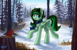 Size: 5100x3300 | Tagged: safe, artist:supermoix, derpibooru import, oc, oc:eden shallowleaf, unofficial characters only, bird, pegasus, pony, clothes, commission, cute, forest, forest background, high res, image, looking back, pine tree, png, scarf, scenery, smiling, snow, solo, striped scarf, tree, tree stump, winter