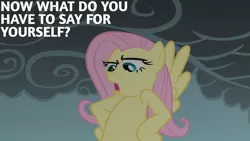 Size: 1280x720 | Tagged: safe, derpibooru import, edit, edited screencap, editor:quoterific, screencap, fluttershy, pegasus, pony, dragonshy, season 1, female, flying, image, jpeg, mare, open mouth, solo, spread wings, wings