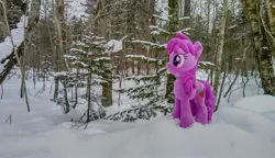 Size: 2048x1176 | Tagged: safe, derpibooru import, photographer:pakapaka1993, berry punch, berryshine, earth pony, pony, image, irl, irl photo, japan, jpeg, photo, plushie, snow, solo, tree, winter