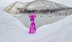 Size: 1024x602 | Tagged: safe, derpibooru import, photographer:pakapaka1993, berry punch, berryshine, earth pony, pony, image, irl, irl photo, japan, jpeg, mountain, photo, plushie, snow, solo, tree, winter