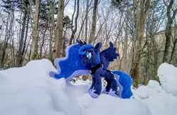 Size: 2048x1331 | Tagged: safe, derpibooru import, photographer:pakapaka1993, princess luna, alicorn, pony, image, irl, irl photo, japan, jpeg, photo, plushie, snow, solo, tree, winter