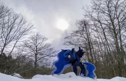 Size: 2048x1320 | Tagged: safe, derpibooru import, photographer:pakapaka1993, princess luna, alicorn, pony, image, irl, irl photo, japan, jpeg, photo, plushie, snow, solo, tree, winter