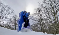 Size: 2048x1238 | Tagged: safe, derpibooru import, photographer:pakapaka1993, princess luna, alicorn, pony, image, irl, irl photo, japan, jpeg, photo, plushie, snow, solo, tree, winter