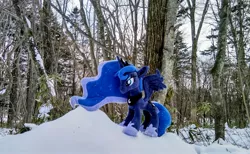 Size: 2048x1263 | Tagged: safe, derpibooru import, photographer:pakapaka1993, princess luna, alicorn, pony, image, irl, irl photo, japan, jpeg, photo, plushie, snow, solo, tree, winter