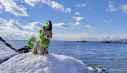 Size: 2048x1186 | Tagged: safe, derpibooru import, photographer:pakapaka1993, spring glow, kirin, image, irl, irl photo, japan, jpeg, ocean, photo, plushie, rock, snow, solo, water