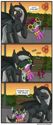 Size: 1475x3435 | Tagged: safe, artist:zackwhitefang, derpibooru import, oc, unofficial characters only, bat pony, pony, 3 panel comic, bat pony oc, bat wings, comic, image, jpeg, solo, wings