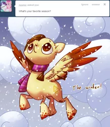 Size: 500x577 | Tagged: safe, artist:celadonlonghorn, derpibooru import, oc, oc:desert eagle, pegasus, pony, ask desert eagle, clothes, colored wings, female, image, mare, png, scarf, snow, solo, two toned wings, wings