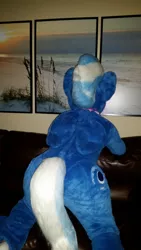 Size: 675x1200 | Tagged: photographer needed, suggestive, artist:atalonthedeer, derpibooru import, night glider, anthro, pegasus, ass, butt, butt touch, clothes, cosplay, costume, female, fursuit, image, irl, irl photo, jpeg, photo, ponysuit, wings