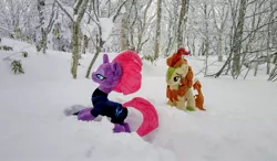 Size: 2048x1196 | Tagged: safe, derpibooru import, photographer:pakapaka1993, autumn blaze, tempest shadow, kirin, pony, unicorn, duo, image, irl, irl photo, japan, jpeg, photo, plushie, snow, tree, winter