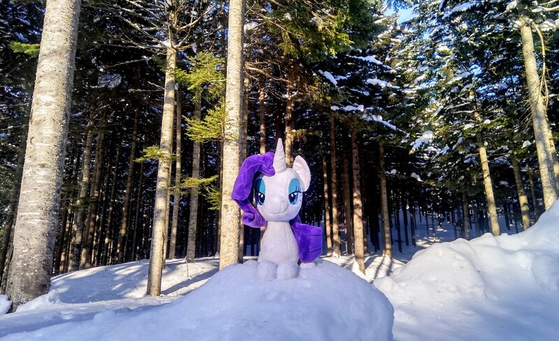 Size: 2048x1248 | Tagged: safe, derpibooru import, photographer:pakapaka1993, rarity, pony, unicorn, image, irl, irl photo, japan, jpeg, photo, plushie, snow, solo, tree, winter