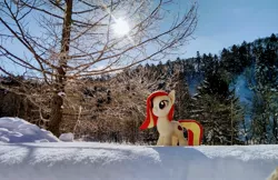 Size: 2048x1328 | Tagged: safe, derpibooru import, photographer:pakapaka1993, oc, oc:poniko, unofficial characters only, pony, image, irl, irl photo, japan, jpeg, photo, plushie, snow, solo, sunflare, sunlight, tree, winter