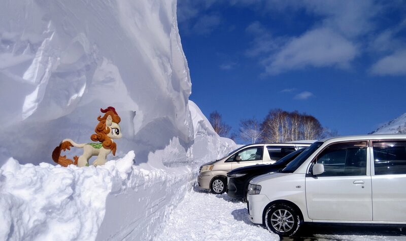 Size: 2048x1217 | Tagged: safe, derpibooru import, photographer:pakapaka1993, autumn blaze, kirin, car, image, irl, irl photo, japan, jpeg, photo, plushie, snow, solo, tree, winter