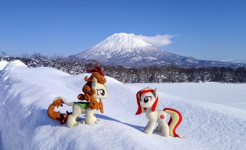 Size: 2048x1249 | Tagged: safe, derpibooru import, photographer:pakapaka1993, autumn blaze, oc, oc:poniko, unofficial characters only, earth pony, kirin, cloud, duo, earth pony oc, image, irl, irl photo, japan, jpeg, mountain, photo, plushie, snow, tree, winter