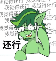 Size: 640x699 | Tagged: safe, artist:shadowshark233, derpibooru import, oc, oc:shark, unofficial characters only, earth pony, pony, bust, chinese text, earth pony oc, glasses, image, jpeg, male, moon runes, simple background, solo, stallion, sweat, sweatdrop, white background