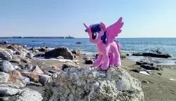 Size: 2048x1180 | Tagged: safe, derpibooru import, photographer:pakapaka1993, twilight sparkle, twilight sparkle (alicorn), alicorn, pony, beach, image, irl, japan, jpeg, ocean, photo, plushie, rock, solo, water