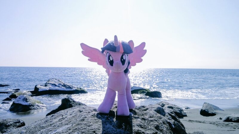 Size: 1024x575 | Tagged: safe, derpibooru import, photographer:pakapaka1993, twilight sparkle, twilight sparkle (alicorn), alicorn, pony, beach, image, irl, japan, jpeg, ocean, photo, plushie, rock, solo, water