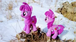 Size: 2048x1153 | Tagged: safe, derpibooru import, photographer:pakapaka1993, berry punch, berryshine, earth pony, pony, duo, image, irl, japan, jpeg, photo, plushie, self paradox, self ponidox, snow, winter