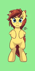 Size: 2000x4000 | Tagged: safe, artist:the-barinade, derpibooru import, oc, oc:kadae, unofficial characters only, earth pony, pony, image, model, png, reference sheet, simple background, solo, standing, standing on two hooves, vtuber