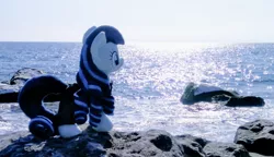 Size: 1024x590 | Tagged: safe, derpibooru import, photographer:pakapaka1993, coloratura, earth pony, pony, beach, image, irl, japan, jpeg, ocean, photo, plushie, rock, solo, water