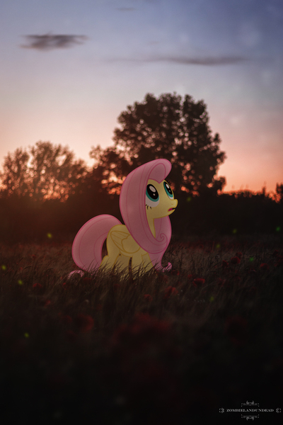 Size: 3456x5184 | Tagged: safe, artist:zombielandundead, derpibooru import, fluttershy, pegasus, pony, 2019, female, image, irl, jpeg, looking up, mare, photo, ponies in real life, solo