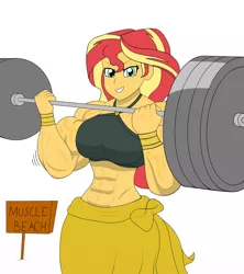 Size: 1280x1440 | Tagged: suggestive, artist:dinoknight12, artist:matchstickman, derpibooru import, sunset shimmer, equestria girls, abs, biceps, breasts, busty sunset shimmer, clothes, dumbbell (object), female, image, jpeg, muscles, muscular female, sunset lifter, swimsuit, vein, vein bulge