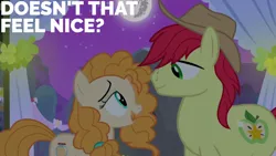Size: 1280x720 | Tagged: safe, derpibooru import, edit, edited screencap, editor:quoterific, screencap, bright mac, pear butter, earth pony, pony, season 7, the perfect pear, cowboy hat, duo, female, hat, image, jpeg, male, mare, moon, night, open mouth, open smile, smiling, stallion
