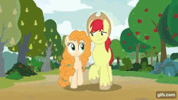 Size: 640x360 | Tagged: safe, derpibooru import, screencap, bright mac, pear butter, earth pony, pony, season 7, the perfect pear, animated, apple, autumn, cowboy hat, duo, eyes closed, female, food, gif, gifs.com, hat, image, looking at each other, looking at someone, male, mare, smiling, smiling at each other, stallion, time lapse, tree, walking, winter