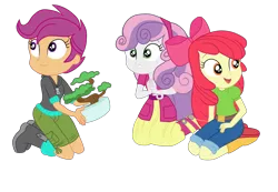 Size: 3900x2693 | Tagged: safe, artist:gmaplay, derpibooru import, apple bloom, scootaloo, sweetie belle, equestria girls, equestria girls series, happily ever after party, bonsai, happily ever after party: applejack, image, png, solo