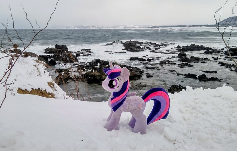 Size: 2048x1302 | Tagged: safe, derpibooru import, photographer:pakapaka1993, twilight sparkle, twilight sparkle (alicorn), alicorn, pony, image, irl, japan, jpeg, ocean, photo, plushie, snow, solo, water, winter