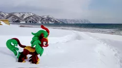 Size: 2048x1153 | Tagged: safe, derpibooru import, photographer:pakapaka1993, cinder glow, summer flare, kirin, beach, image, irl, japan, jpeg, ocean, photo, plushie, snow, solo, water, winter