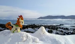 Size: 2048x1205 | Tagged: safe, derpibooru import, photographer:pakapaka1993, autumn blaze, kirin, image, irl, japan, jpeg, ocean, photo, plushie, snow, solo, water, winter