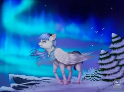 Size: 3000x2249 | Tagged: safe, artist:vinicius040598, derpibooru import, oc, oc:snow pup, pegasus, pony, aurora borealis, clothes, collar, detailed background, ear fluff, female, folded wings, image, looking up, mare, pet tag, png, scarf, snow, solo, standing, stars, tree, unshorn fetlocks, wind, windswept mane, wings, winter