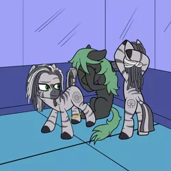 Size: 1200x1200 | Tagged: safe, artist:scraggleman, derpibooru import, oc, oc:cipher, earth pony, pony, zebra, covering eyes, dancing, earth pony oc, image, male, neet, png, scared, stallion, zebra oc