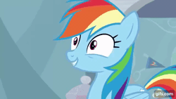 Size: 640x360 | Tagged: safe, derpibooru import, screencap, rainbow dash, pegasus, pony, season 5, tanks for the memories, animated, female, gif, gifs.com, image, mare, open mouth, open smile, rainbow dash is best facemaker, rainbow dash's house, smiling, solo