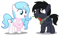 Size: 5136x2944 | Tagged: safe, artist:strategypony, derpibooru import, oc, oc:darkdj, oc:madelyne ruiz, unofficial characters only, alicorn, pegasus, pony, clothes, colt, duo, female, filly, flower, foal, hearts and hooves day, holiday, image, male, mouth hold, png, raised hoof, rose, scarf, shipping, simple background, sweater, transparent background, valentine's day