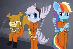 Size: 1600x1067 | Tagged: safe, artist:theblacksunking, derpibooru import, rainbow dash, anthro, lombax, bound wings, chained, clothes, crossover, cuffed, image, jpeg, prison outfit, prisoner, prisoner rd, ratchet and clank, rivet (r&c), sandy cheeks, spongebob squarepants, wings