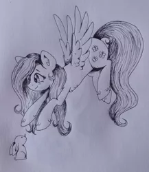 Size: 2742x3155 | Tagged: safe, artist:nightydream, derpibooru import, fluttershy, pony, rabbit, animal, image, jpeg, monochrome, solo, traditional art