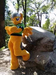 Size: 720x960 | Tagged: safe, artist:atalonthedeer, derpibooru import, daring do, anthro, human, pegasus, angry eyes, arm hooves, crossed arms, crossed hooves, fursuit, g4, image, irl, jpeg, leaning, nature, photo, ponysuit, pose, rock, smiling, smirk, solo, tree, wings