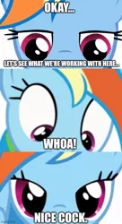 Size: 500x917 | Tagged: suggestive, derpibooru import, edit, edited screencap, screencap, rainbow dash, caption, close-up, extreme close up, image, image macro, implied penis, jpeg, text, vulgar