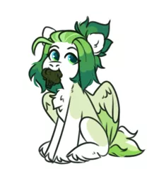 Size: 1037x1153 | Tagged: safe, artist:kiiitssss, derpibooru import, oc, unofficial characters only, pegasus, pony, broccoli, chest fluff, food, image, jpeg, looking at you, mouth hold, nom, solo, unshorn fetlocks