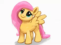 Size: 2048x1535 | Tagged: safe, artist:dummyhorse, derpibooru import, fluttershy, pegasus, pony, :t, cute, female, hooves, image, jpeg, looking at you, looking up, mare, shadow, shyabetes, simple background, smiling, solo, spread wings, standing, three quarter view, white background, wings
