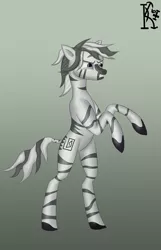 Size: 1740x2700 | Tagged: safe, artist:kirov, derpibooru import, oc, zebra, angry, bipedal, blue eyes, female, gradient background, image, png, solo, solo female, standing, standing on two hooves, stripes