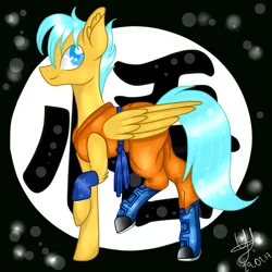 Size: 3000x3000 | Tagged: safe, alternate version, artist:yulianapie26, derpibooru import, ponified, pegasus, pony, clothes, dragon ball z, ear fluff, goku, image, male, png, signature, smiling, stallion, wings