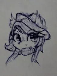 Size: 480x640 | Tagged: safe, artist:zebra, derpibooru import, oc, unofficial characters only, bat pony, bust, hat, image, monochrome, png, portrait, sketch, solo, traditional art